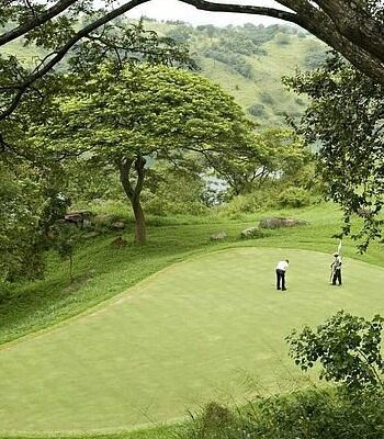 Private 1 Hour Golf Lesson At Royal Colombo Golf Club | SOLO