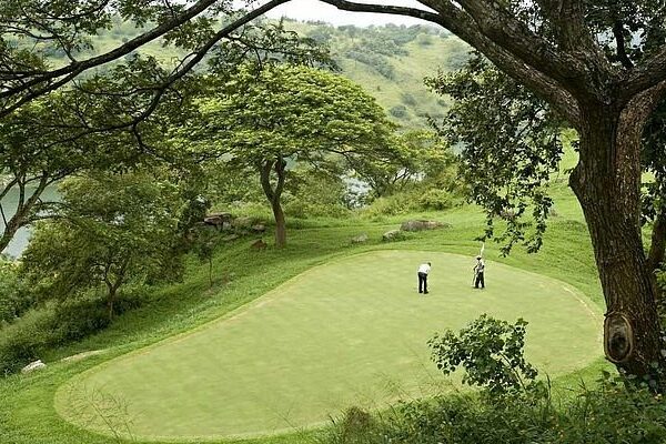 Private 1 Hour Golf Lesson At Royal Colombo Golf Club | SOLO